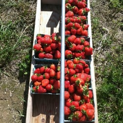 Ingraldi Farms