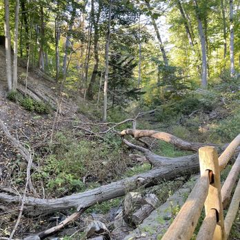 Glen Stewart Ravine - Glen Stewart Ravine - natural habitat along the walking path - Parks Near Me - Toronto, Ontario Glen Stewart Ravine - Glen Stewart Ravine - natural habitat along the walking path - Parks Near Me - Toronto, Ontario