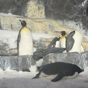 SeaWorld Orlando - Amusement Parks Near Me - Orlando, Florida