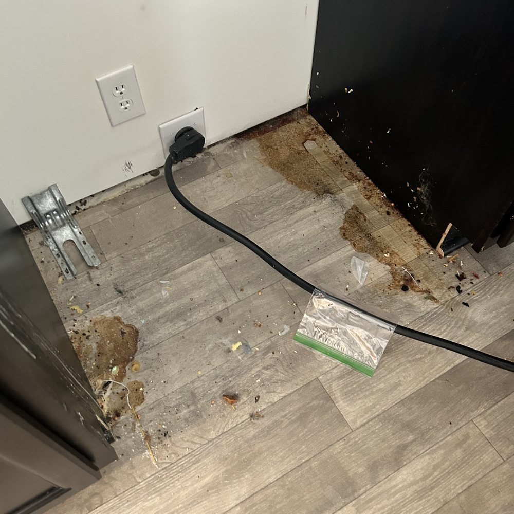 Atterson's Homemade Services - Home Cleaning Near Me - whiteland, Indiana Atterson's Homemade Services - Home Cleaning Near Me - whiteland, Indiana