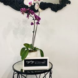 Wipsha Beauty Salon - Wipsha Salon Interior Decor