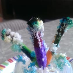 All Nessy's Friends - Growing a crystal garden with professor VanNess. Mad Sciensist