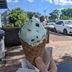 Dear Hearts Ice Cream - Mint Chip on top of Birthday Cake (with real cake bites!)