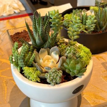 Handmade Moment Studio - Arts & Crafts Near Me - Arcadia, California