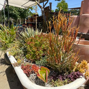 The Secret Garden - Nurseries & Gardening Near Me - Elk Grove, California The Secret Garden - Nurseries & Gardening Near Me - Elk Grove, California