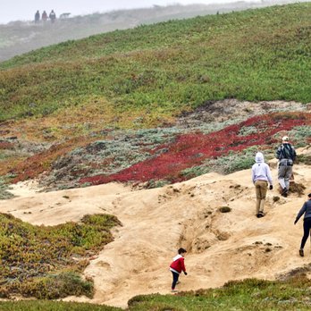 Sonoma Coast State Beach - 🌊Sonoma Coast State Beach - Bodega Head🌊 - Parks Near Me - Bodega Bay, California Sonoma Coast State Beach - 🌊Sonoma Coast State Beach - Bodega Head🌊 - Parks Near Me - Bodega Bay, California
