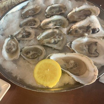 Fins At Sharky's - Oysters - Steakhouses Near Me - Venice, Florida Fins At Sharky's - Oysters - Steakhouses Near Me - Venice, Florida