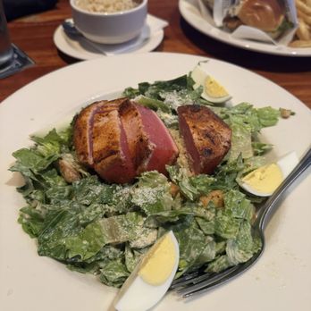 Pearls Oyster Bar - Tabasco Caesar Salads with blackened tuna - Bars Near Me - Oklahoma City, Oklahoma