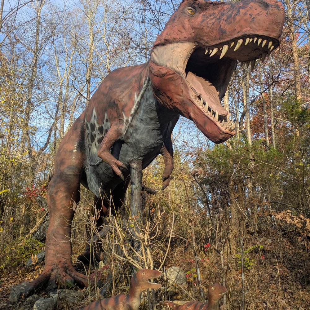 Backyard Terrors Dinosaur Park - Amusement Parks Near Me - Bluff City, Tennessee Backyard Terrors Dinosaur Park - Amusement Parks Near Me - Bluff City, Tennessee