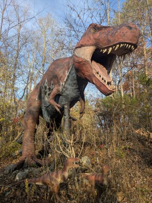 Backyard Terrors and Dinosaur Park by null
