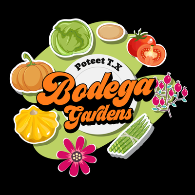 Bodega Gardens