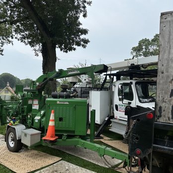 Madd Beaver Tree Experts & Stump Grinding - Truck, chipper and tree to be removed - Tree Services Near Me - Milford, Connecticut Madd Beaver Tree Experts & Stump Grinding - Truck, chipper and tree to be removed - Tree Services Near Me - Milford, Connecticut