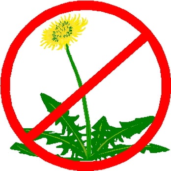Growing Green Lawn Services - a yellow dandelion in a red circle - Landscaping Near Me Growing Green Lawn Services - a yellow dandelion in a red circle - Landscaping Near Me