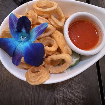 Room 151 - Calamari - Asian Fusion Near Me - New York, New York Room 151 - Calamari - Asian Fusion Near Me - New York, New York