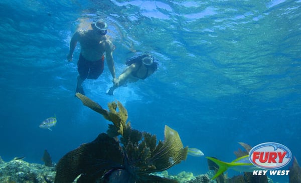 Fury Water Adventures Key West by null