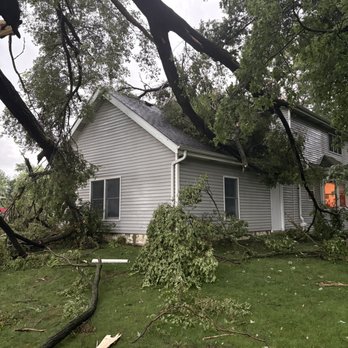 Liberty Tree Service - "Before" #3 - Tree Services Near Me - New Lenox, Illinois