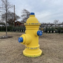 Paws Colinas Dog Park - Huge fire hydrant