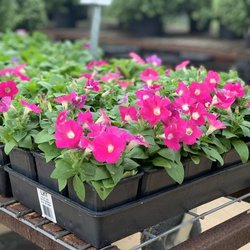 Meador's Garden Center & Landscaping