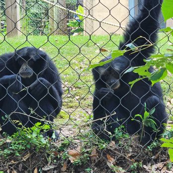 Baton Rouge Zoo - Zoos Near Me - Baton Rouge, Louisiana