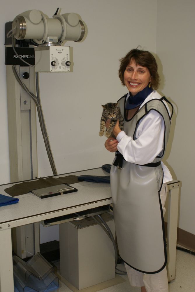 WHITEWATER VETERINARY HOSPITAL Updated August 2024 36 Photos 527 S Janesville St