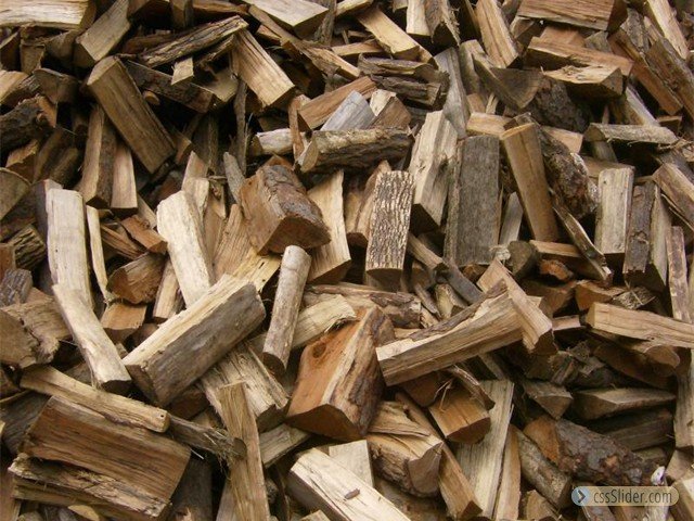 Mancuso Tree Service - tree service in Hampden, MA