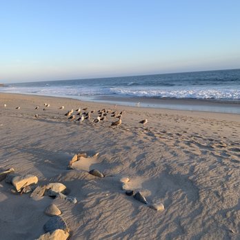 Sycamore Cove Beach - Beaches Near Me - Malibu, California