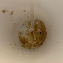 the inside of a white cup the inside of a white cup