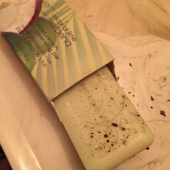 Big Bear Cool Cabins - Soap bar. Looks like it's covered in dead insects and hair. Very dirty. - Property Management Near Me - Big Bear Lake, California