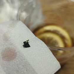 Good View Bakery - Piece of "choy sum" or another leafy veggie was found in my iced lemon drink, gross!!!!!!