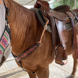 Pond Hill Stables - New breast collar