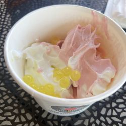 Snofari Frozen Yogurt