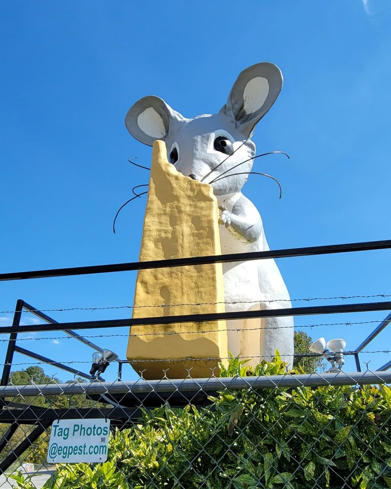 ENVIROGUARD PEST SOLUTIONS Updated September 2024 383 Bandy Ln, Ringgold, Pest