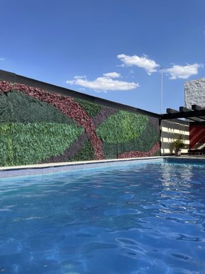 Hotel Morales by null
