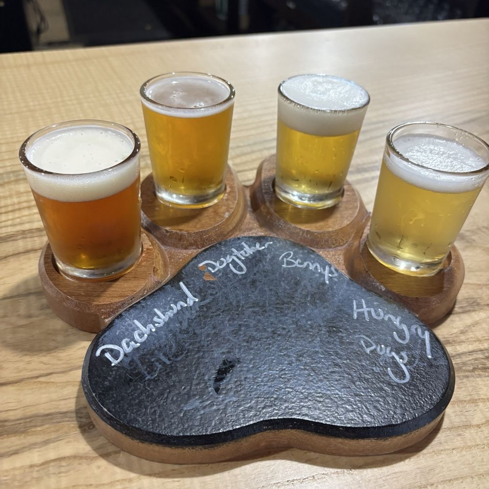 Snouts And Stouts Brewing - Breweries Near Me - Hammonton, New Jersey