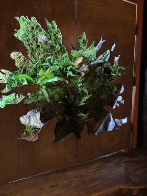 Headlands Coastal Lodge & Spa by null