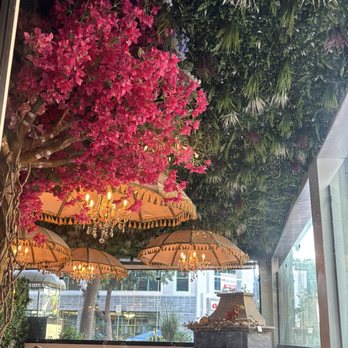 Piedra Santa - Ceiling. Ig @mel_foodie_ventures. - Steakhouses Near Me - San Diego, California Piedra Santa - Ceiling. Ig @mel_foodie_ventures. - Steakhouses Near Me - San Diego, California