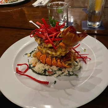 Buccanos At Night - Lobster with miso butter sauce - Bars Near Me - Cozumel, ROO