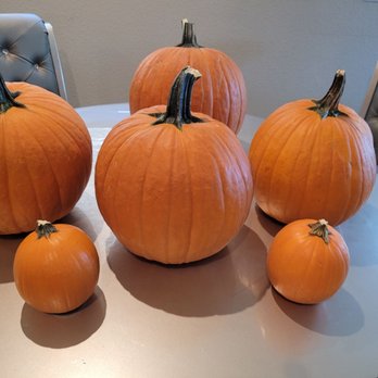 Walmart Supercenter - Great deal on pumpkins to decorate and carve!!!! - Grocery Near Me - Las Vegas, Nevada Walmart Supercenter - Great deal on pumpkins to decorate and carve!!!! - Grocery Near Me - Las Vegas, Nevada
