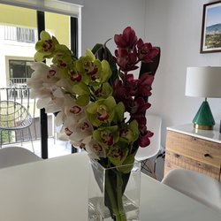 Maria's Sidewalk Flowers - Orchids