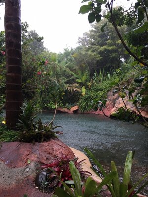 The Lost Spring by null