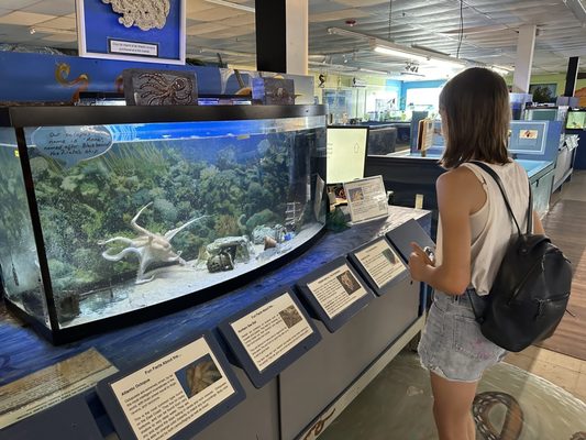 Biomes Marine Biology Center by null