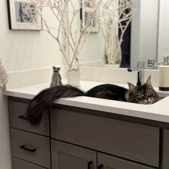 The Oliveen - Sosi in the sink - Apartments Near Me - Camas, Washington