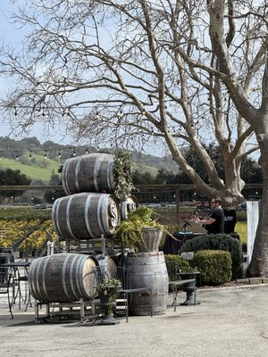 Sarah's Vineyard by null
