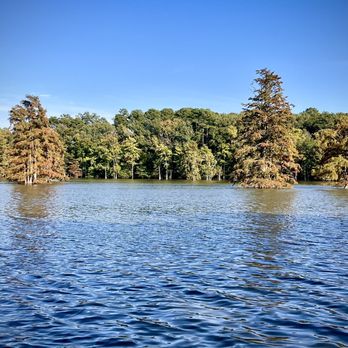 STUMPY LAKE NATURAL AREA - Updated January 2025 - 248 Photos & 20