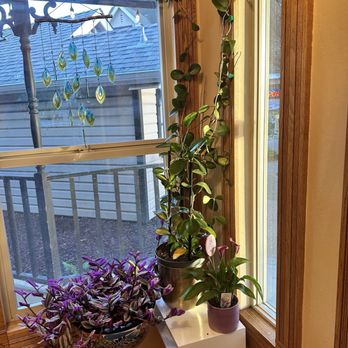 Fairfield Wellness Spa - Massage Therapy Near Me - Fairfield, California