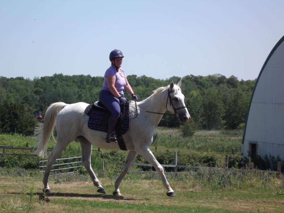 LEGACY EQUESTRIAN Updated October 2024 521 Sandford Road, Uxbridge