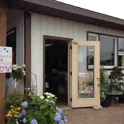 Schalow's Nursery