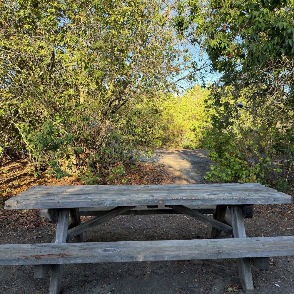 San Mateo Campground - Bench at #45 - Campgrounds Near Me - San Clemente, California San Mateo Campground - Bench at #45 - Campgrounds Near Me - San Clemente, California