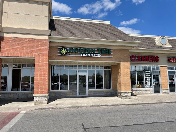 GOLDEN TREE CANNABIS Updated June 2024 10671 Chinguacousy Road