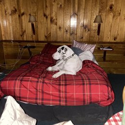 Our Great Dane loved the Bunkhouse! Our Great Dane loved the Bunkhouse!